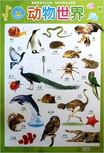 《小海豚启蒙必备挂图:动物世界》 【摘要 书评 试读】图书